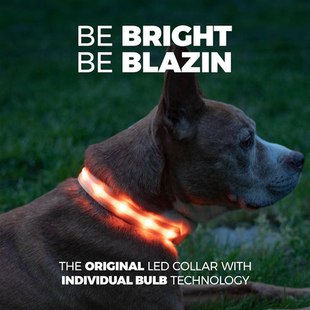 ' Safety LED Dog Collar – USB Rechargeable with Water Resistant Flashing Light – Xsmall Orange