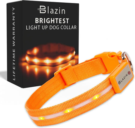 ' Safety LED Dog Collar – USB Rechargeable with Water Resistant Flashing Light – Xsmall Orange