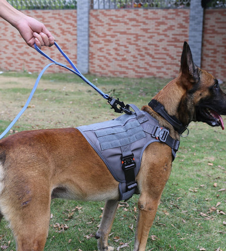 Tactical Dog Harness with 4X Metal Buckle,Dog MOLLE Vest with Handle,No Pulling Front Clip,Hook and Loop Panel for Dog Custom Patch (M (25"-30" Girth), Wolf Gray)