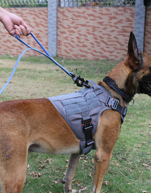 Load image into Gallery viewer, Tactical Dog Harness with 4X Metal Buckle,Dog MOLLE Vest with Handle,No Pulling Front Clip,Hook and Loop Panel for Dog Custom Patch (M (25&quot;-30&quot; Girth), Wolf Gray)
