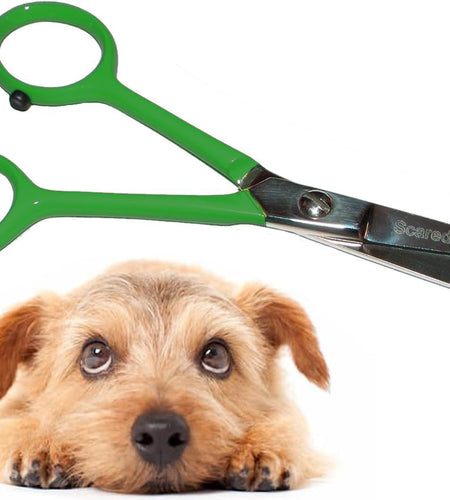 Tiny Trim 4.5" Ball-Tipped Scissor for Dog, Cat and All Pet Grooming - Ear, Nose, Face & Paw - 'S Small Safety Scissor