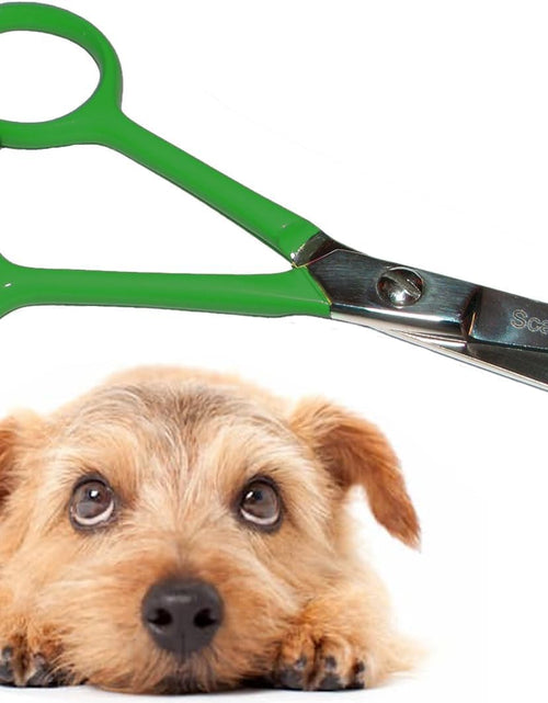 Load image into Gallery viewer, Tiny Trim 4.5&quot; Ball-Tipped Scissor for Dog, Cat and All Pet Grooming - Ear, Nose, Face &amp; Paw - &#39;S Small Safety Scissor
