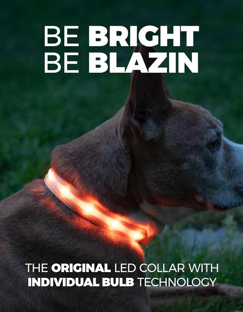 Load image into Gallery viewer, &#39; Safety LED Dog Collar – USB Rechargeable with Water Resistant Flashing Light – Xsmall Orange
