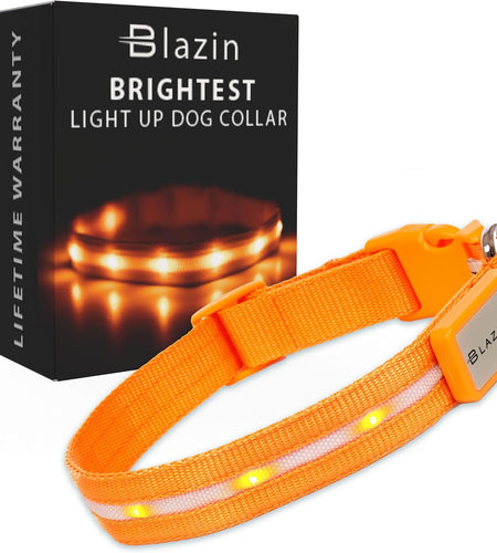 ' Safety LED Dog Collar – USB Rechargeable with Water Resistant Flashing Light – Xsmall Orange