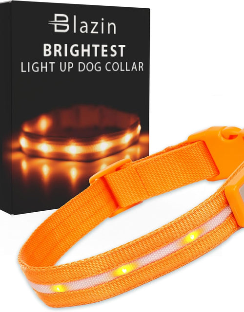 Load image into Gallery viewer, &#39; Safety LED Dog Collar – USB Rechargeable with Water Resistant Flashing Light – Xsmall Orange
