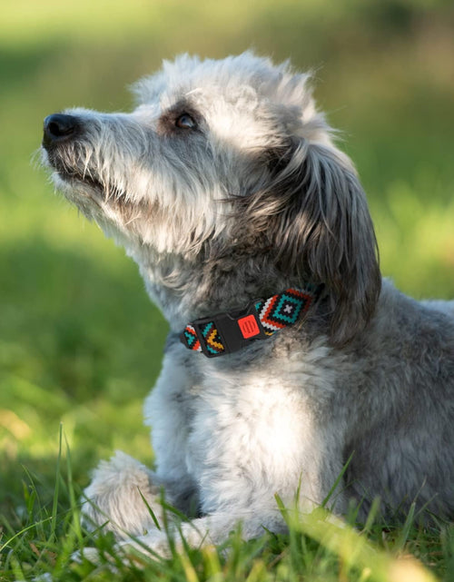 Load image into Gallery viewer, Aztec Dog Collar Adjustable Nylon Tribal Pattern Geometric Pet Collars for Dogs Small Medium Large Puppy
